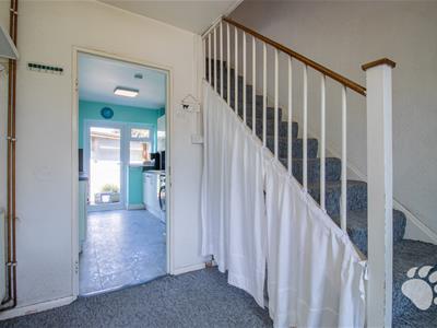 Picture 20